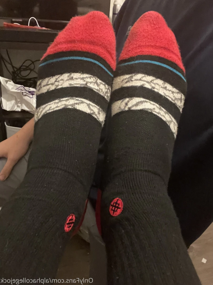 Alpha [ alphacollegejock ] Onlyfans leaked photo 5686942 on Hotleaks.tv