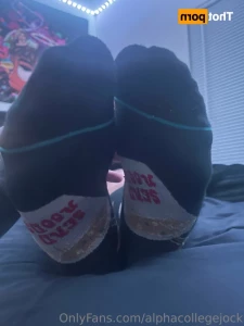 13511762