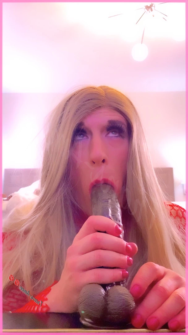 Trans Amee [ ameetrans ] Onlyfans leaked photo 6048023 on Hotleaks.tv