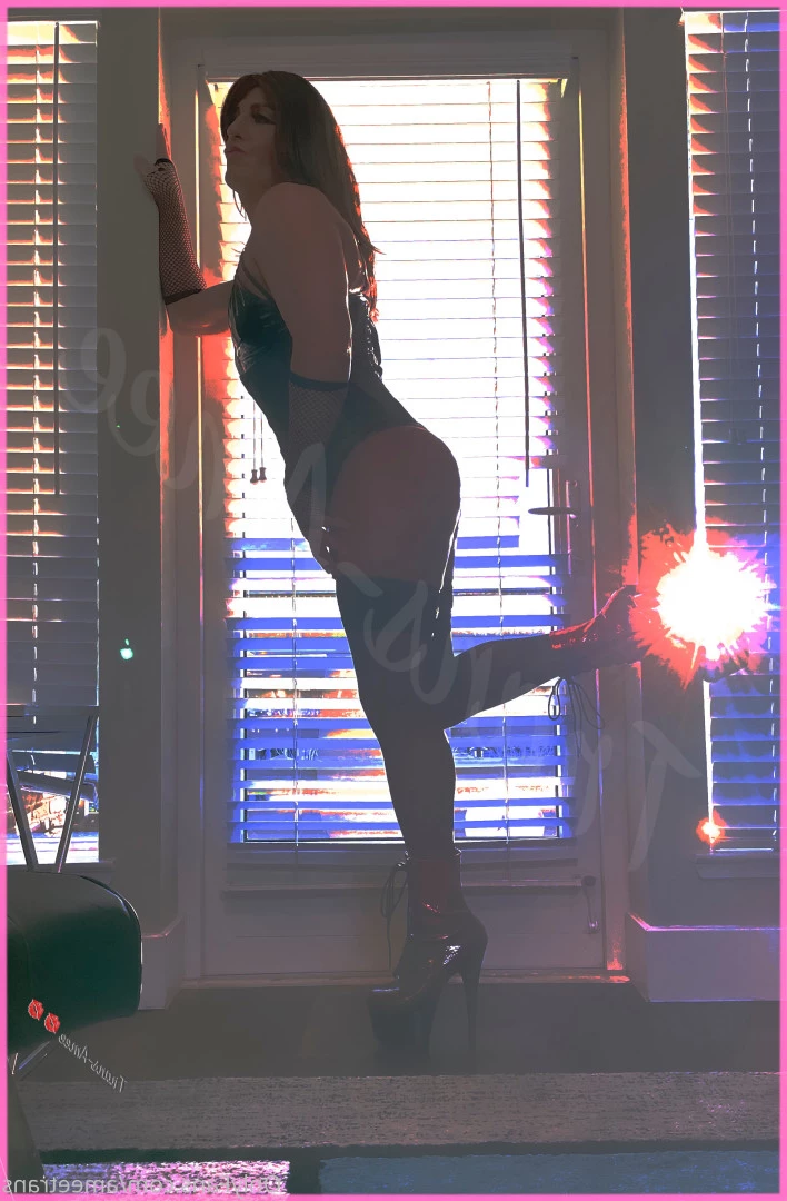 Trans Amee [ ameetrans ] Onlyfans leaked photo 6057915 on Hotleaks.tv