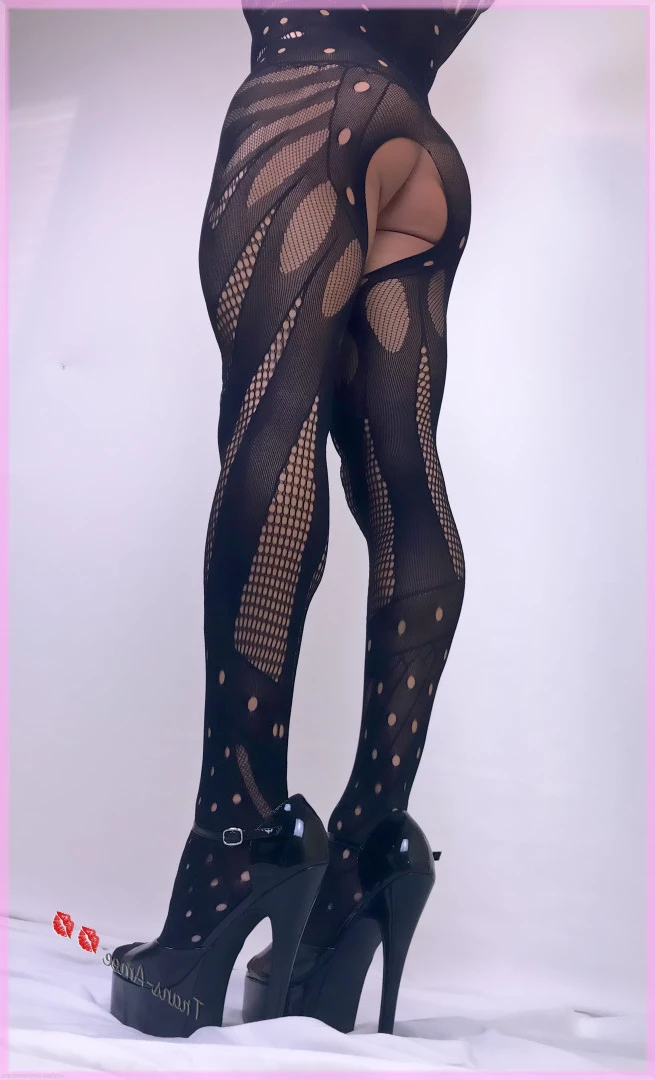 Trans Amee [ ameetrans ] Onlyfans leaked photo 6069948 on Hotleaks.tv
