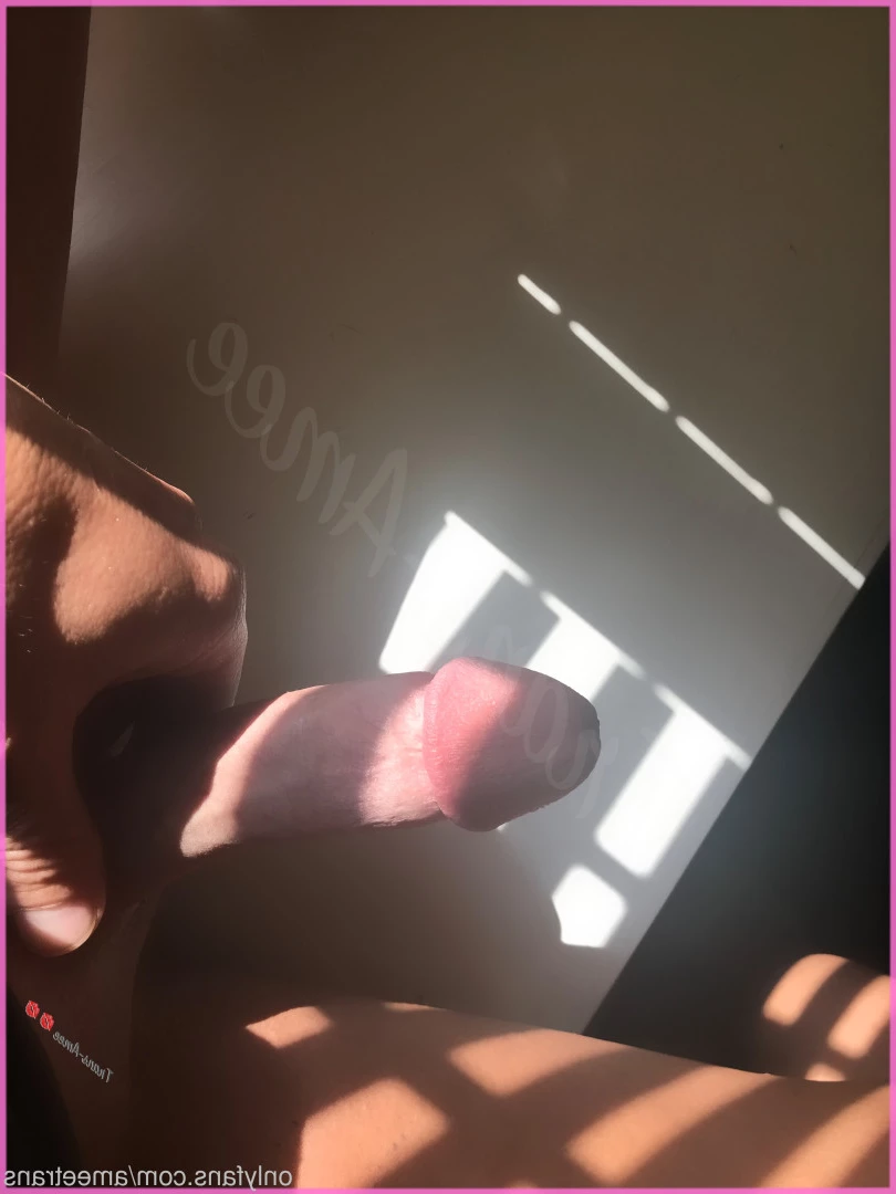 Trans Amee [ ameetrans ] Onlyfans leaked photo 6094267 on Hotleaks.tv