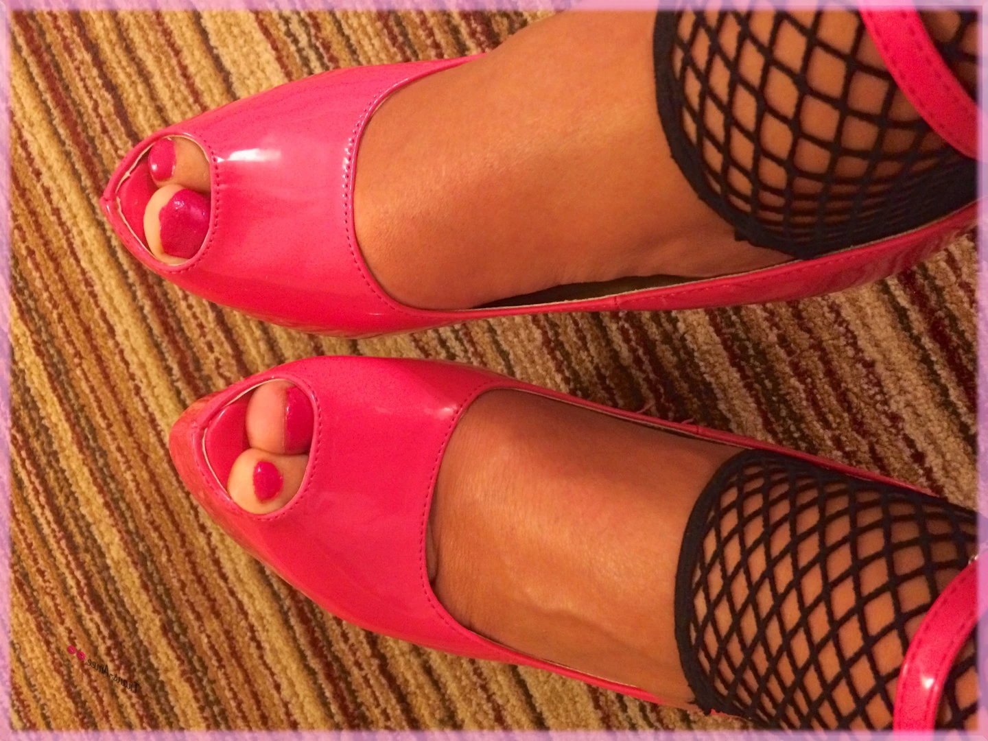 Trans Amee [ ameetrans ] Onlyfans leaked photo 6097801 on Hotleaks.tv