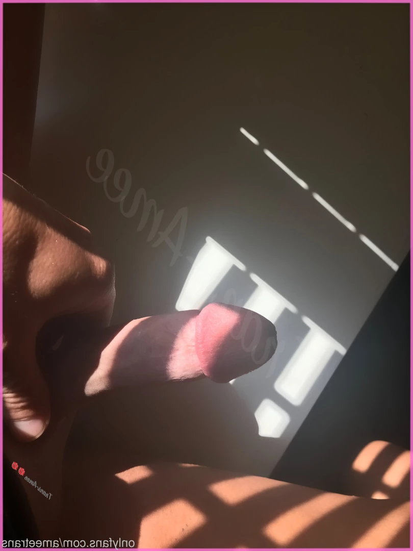 Trans Amee [ ameetrans ] Onlyfans leaked photo 6111789 on Hotleaks.tv