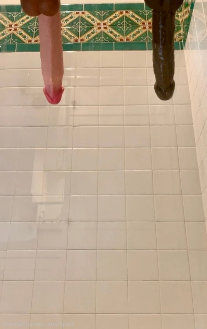 Trans Amee [ ameetrans ] Onlyfans leaked photo 6115059 on Hotleaks.tv