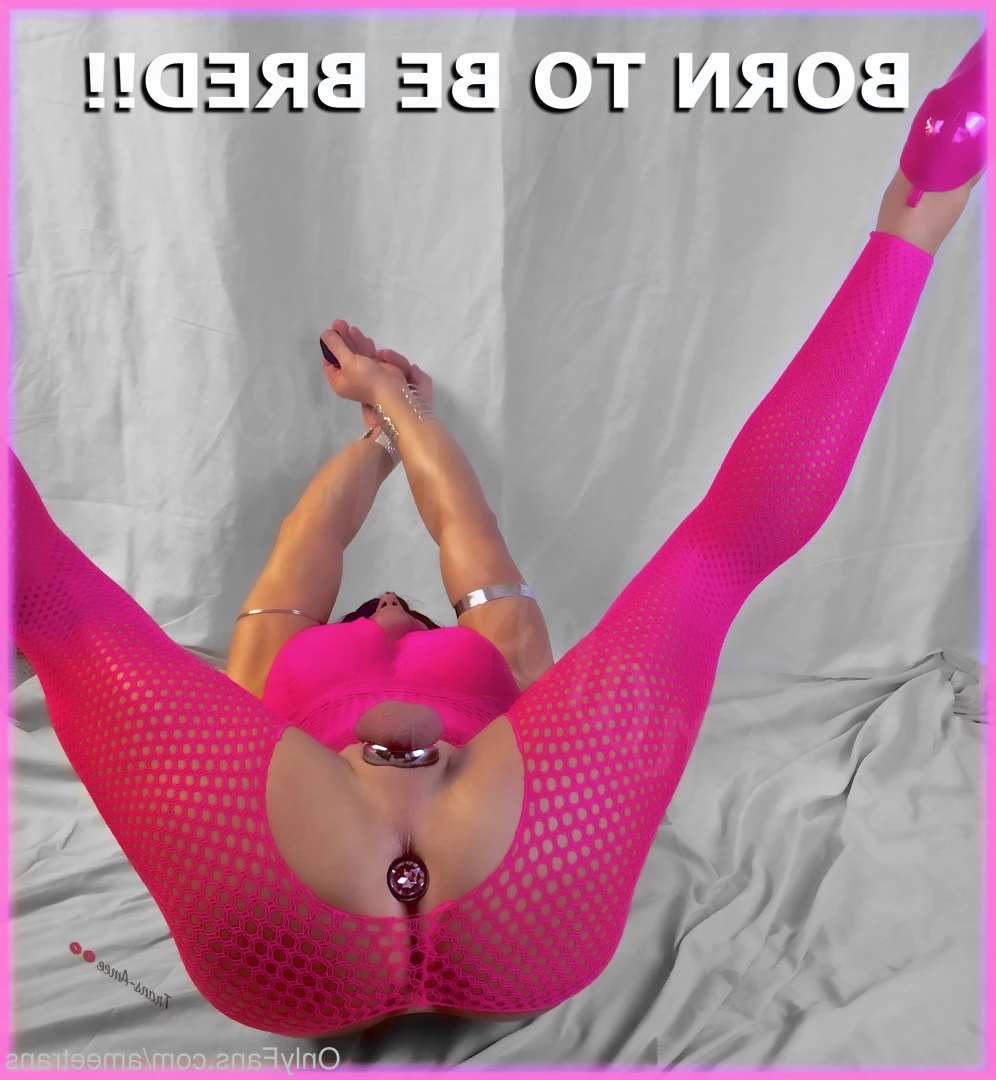 Trans Amee [ ameetrans ] Onlyfans leaked photo 6134715 on Hotleaks.tv