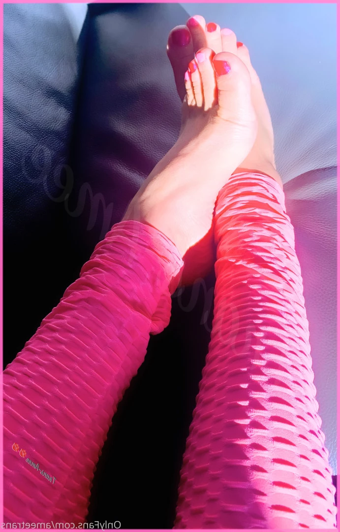 Trans Amee [ ameetrans ] Onlyfans leaked photo 6135583 on Hotleaks.tv