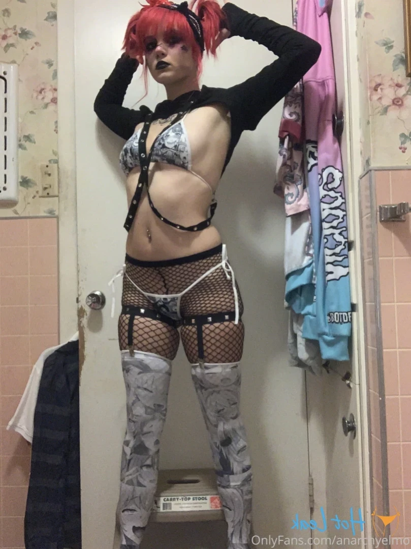 Anarchy Elmo [ anarchyelmo ] Onlyfans leaked photo 15313572 on Hotleaks.tv