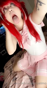 15628677