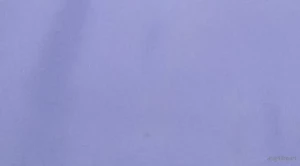 4960310