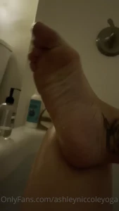 15536017