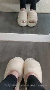 10840822