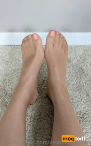 15461339
