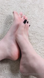 16187454