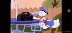 4967264