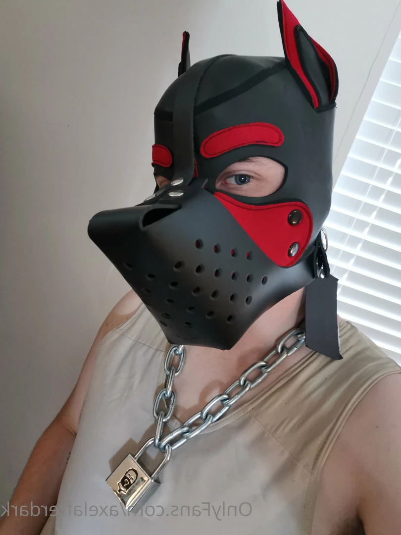 Pup Axel [ axelafterdark ] Onlyfans leaked photo 5996081 on Hotleaks.tv