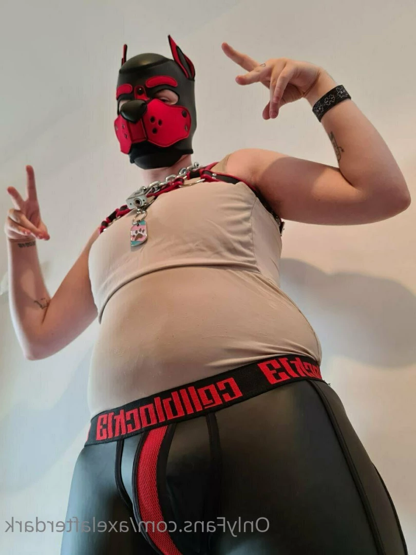 Pup Axel [ axelafterdark ] Onlyfans leaked photo 5996094 on Hotleaks.tv