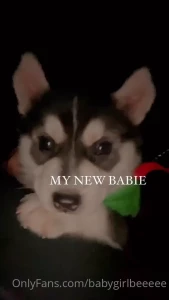 Bee 🐝 (TOP .1%) [ babiebeezz ] Onlyfans leaked video 8748438 on Hotleaks.tv