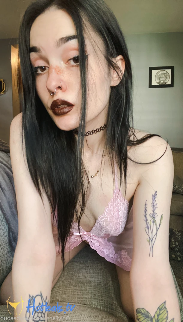 BabyBeeBub 🦇 [ babybeebub ] Onlyfans leaked photo 10959511 on Hotleaks.tv