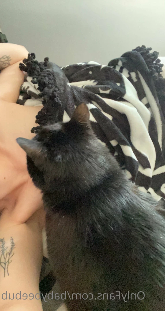 BabyBeeBub 🦇 [ babybeebub ] Onlyfans leaked photo 15282835 on Hotleaks.tv
