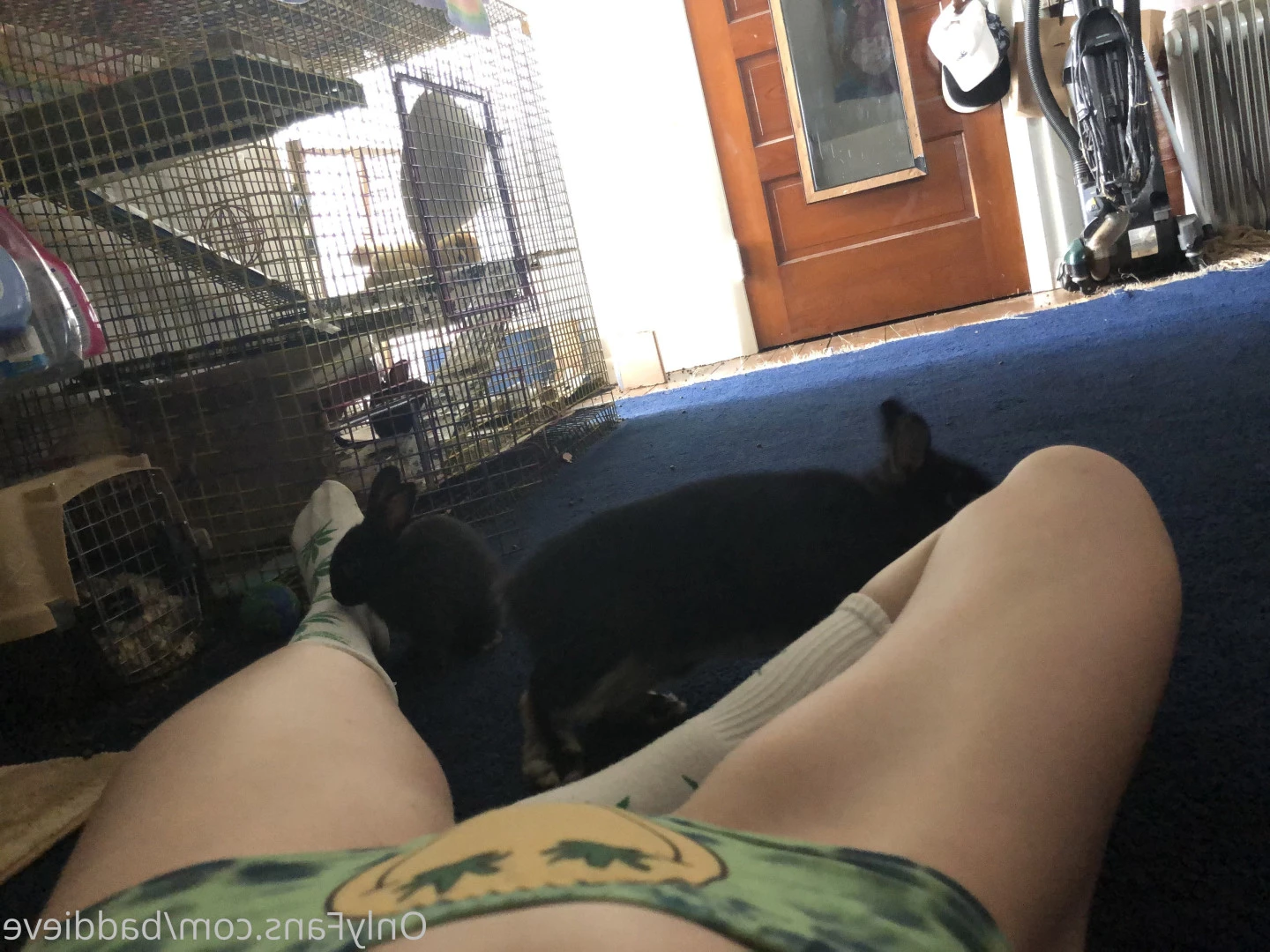 Moose Uncensored [ baddieve ] Onlyfans leaked photo 5741916 on Hotleaks.tv