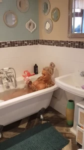 bambiblacks_uk Onlyfans leaked video 11419654 on Hotleaks.tv