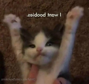 5205939