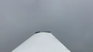 5469241