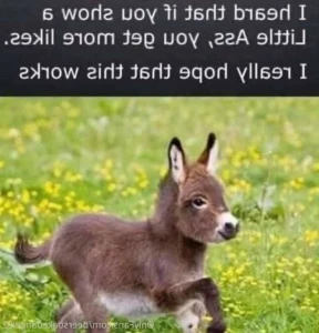 5223831
