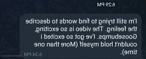 16233098