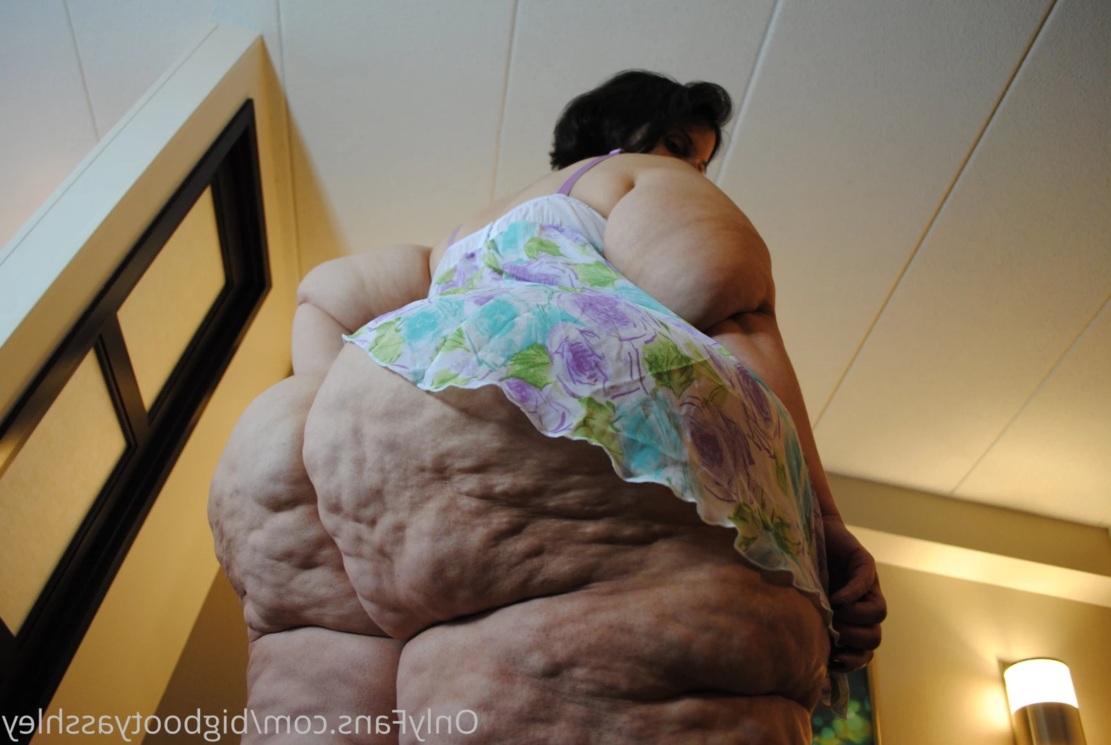 Big Booty Asshley [ bigbootyasshley ] Onlyfans leaked photo 5890936 on Hotleaks.tv
