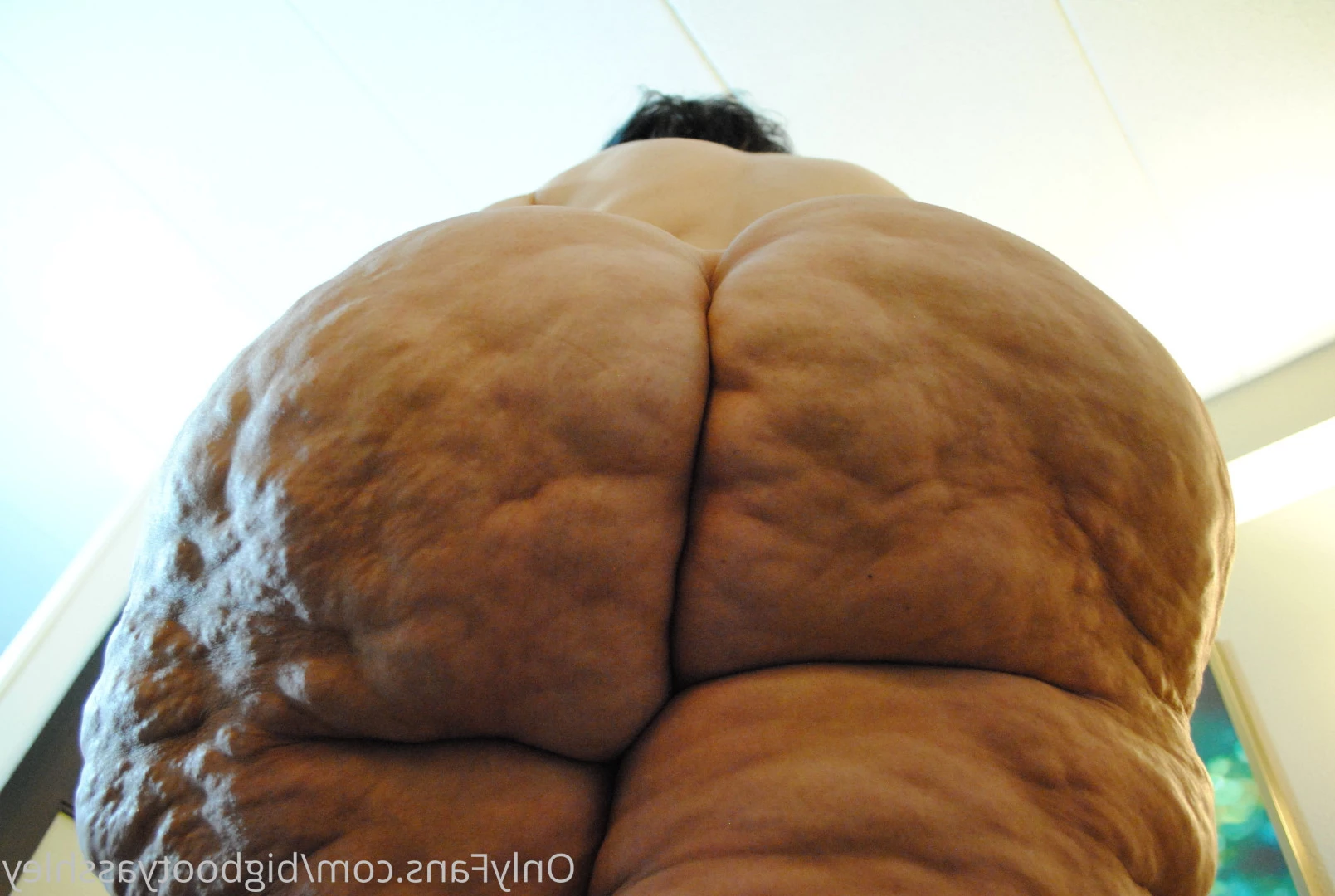 Big Booty Asshley [ bigbootyasshley ] Onlyfans leaked photo 5901852 on Hotleaks.tv