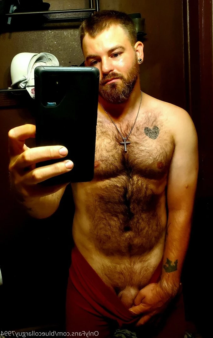 bluecollarguy7994 Onlyfans leaked photo 5207409 on Hotleaks.tv