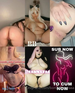 16453158