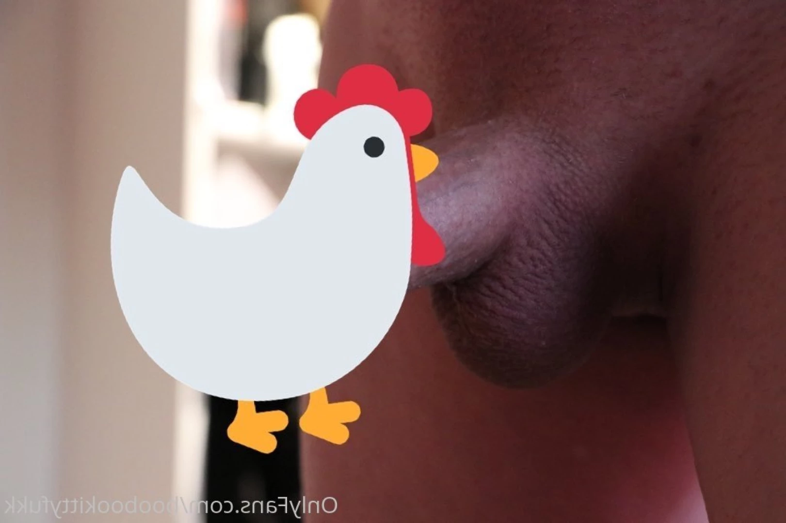 Booboo Kitty Fuck [ boobookittyfukk ] Onlyfans leaked photo 5648908 on Hotleaks.tv