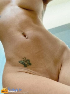 16336615