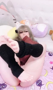 16231742