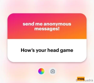 13634803