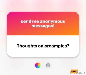 16333019