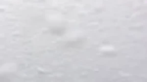 4985619