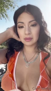 16202739