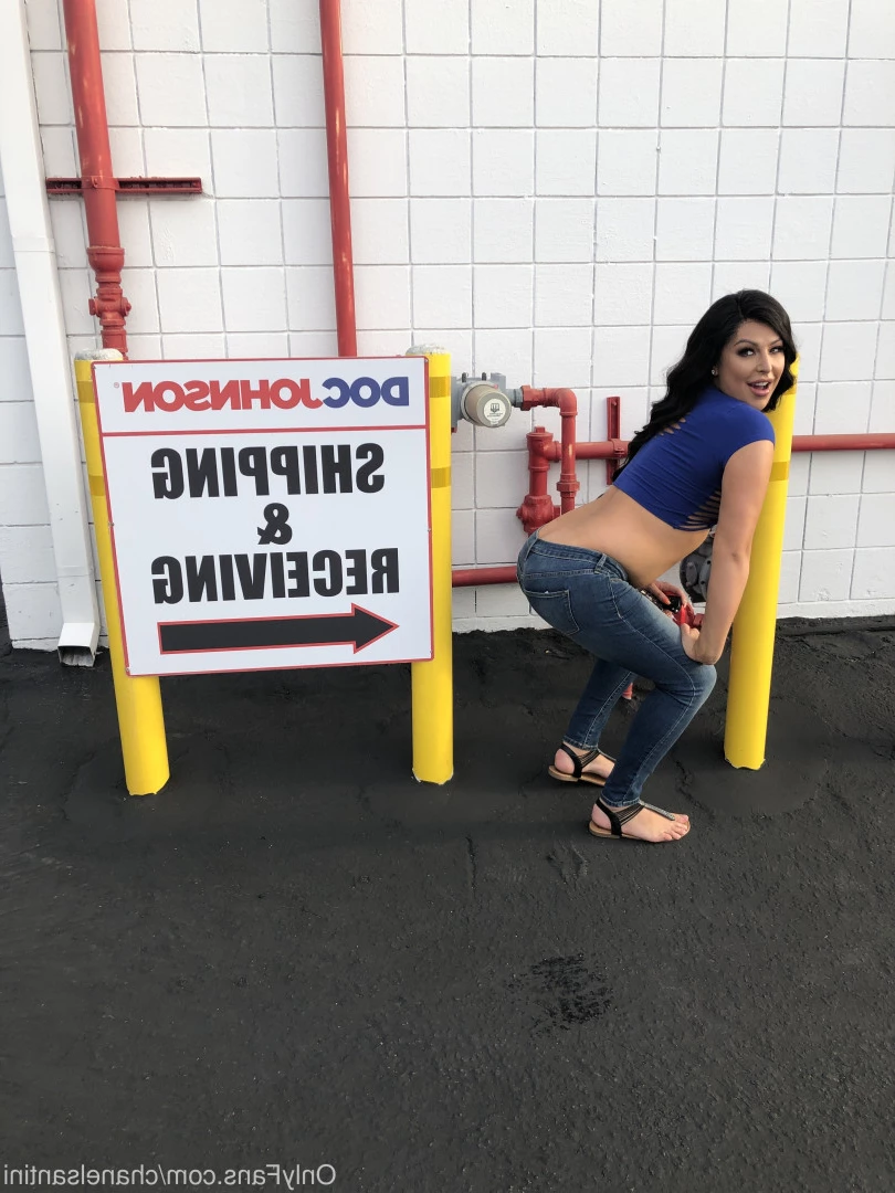 Chanel Santini [ chanelsantini ] Onlyfans leaked photo 9745888 on Hotleaks.tv