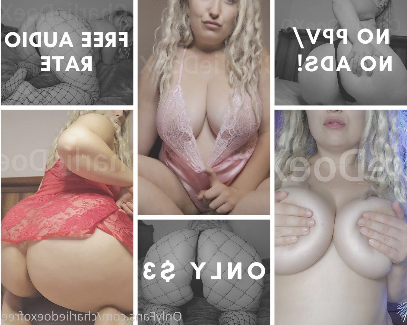ALWAYS HORNY [ charliedoexofree ] Onlyfans leaked photo 5209724 on Hotleaks.tv