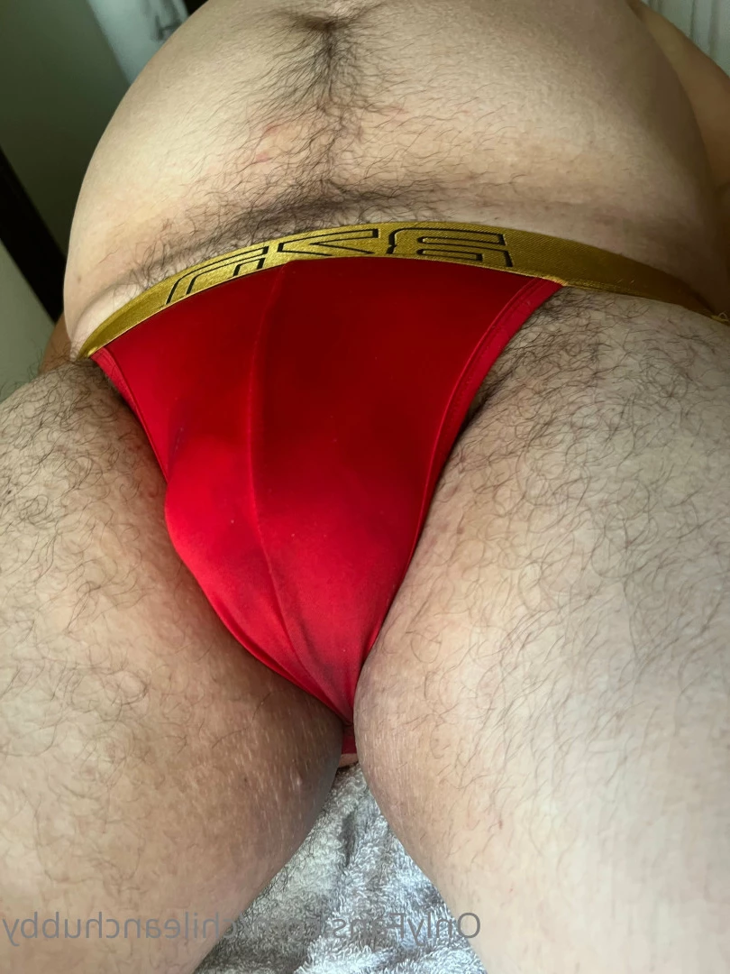 chileanchubby Onlyfans leaked photo 5864354 on Hotleaks.tv