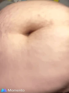 16341768