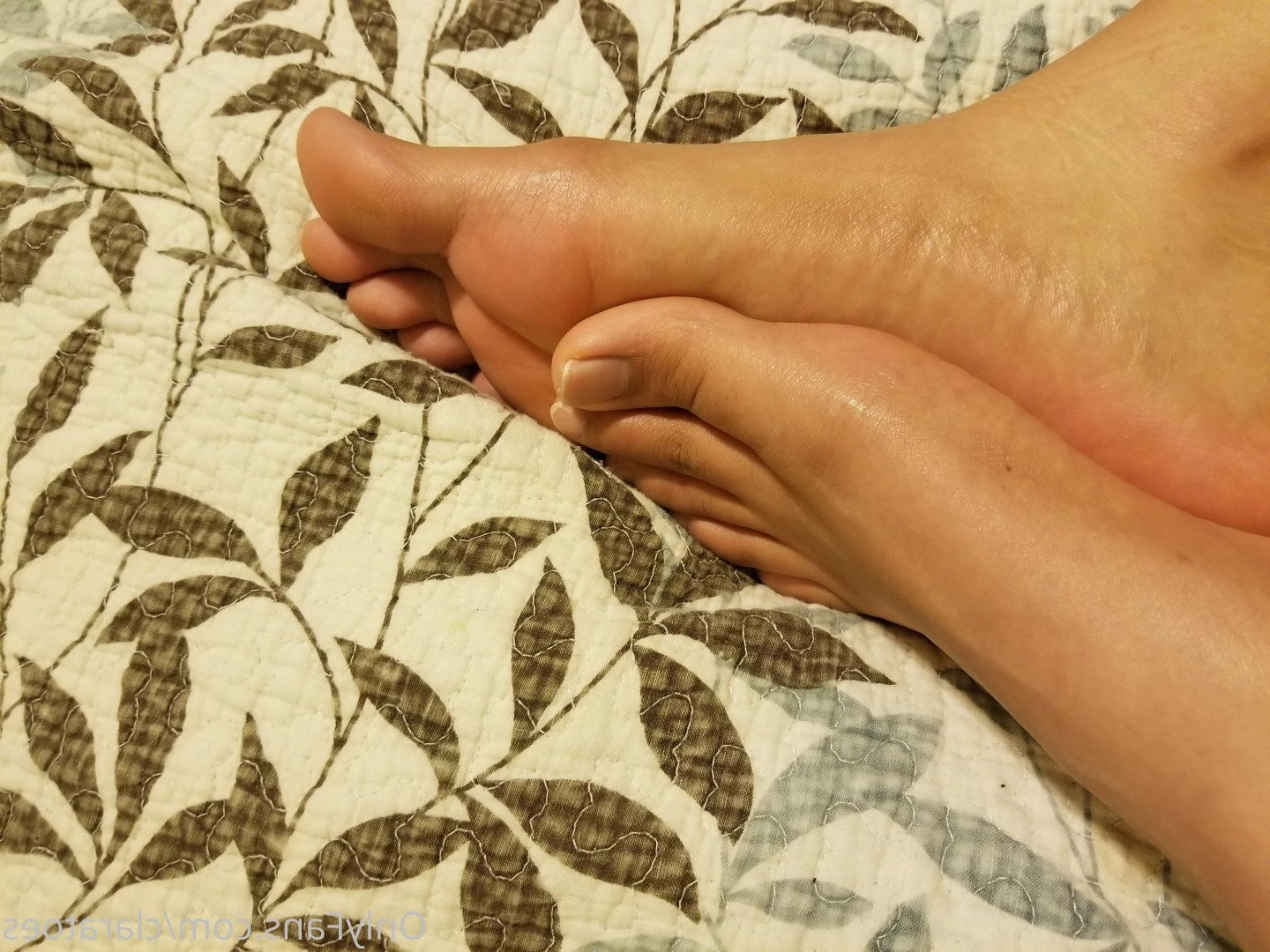 claratoes Onlyfans leaked photo 5195456 on Hotleaks.tv