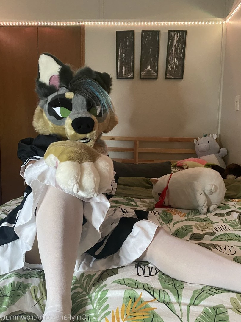 Ro ✨ [ crownmutt ] Onlyfans leaked photo 5179469 on Hotleaks.tv