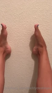 8729073