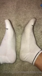 8729117