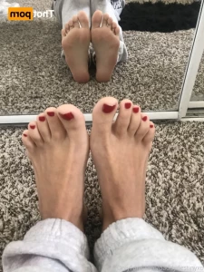 16239634